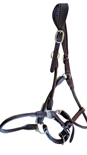 Premier equine gerolltes - premier,