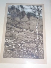 Rudolf Sieck 1877-1957 Frühlingslandschaft Birken Kirche Aquatinta-Rad signiert