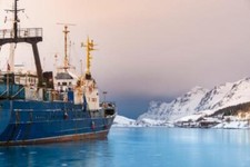 Fischerboot im Hafen von