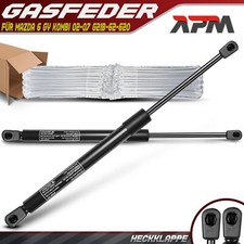 2x Gasfeder Dämpfer