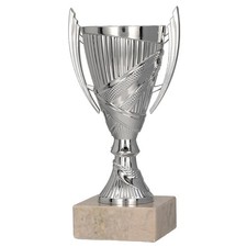 Sieger Pokal  Fußball