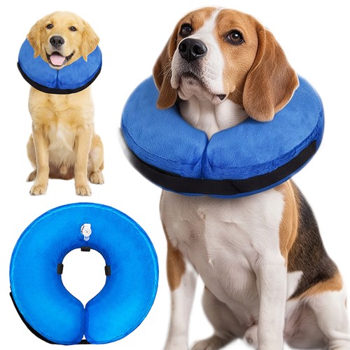 Schutzkragen hund leckschutz - schutzkragen,