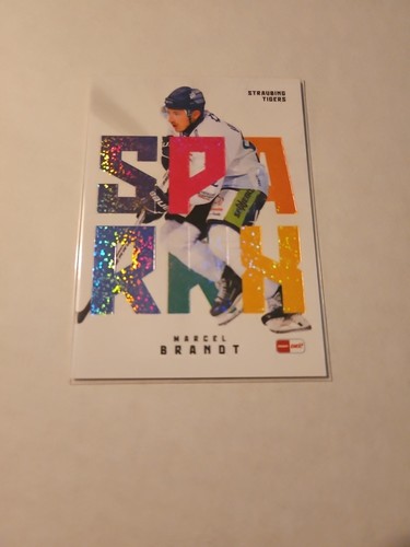 Del eishockey tradingcard - eishockey,