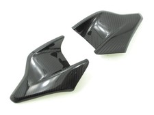 Carbon Kühlerschutz für MV