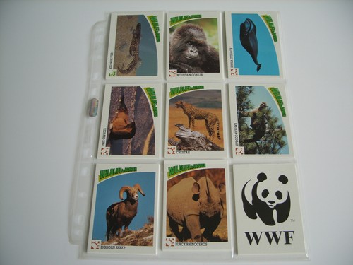 Panini wwf bedrohte - panini:,