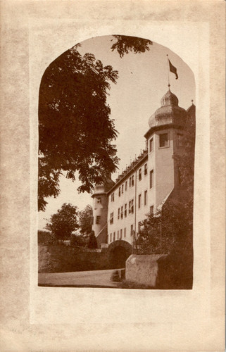 Gruss aus oestrich - ak,