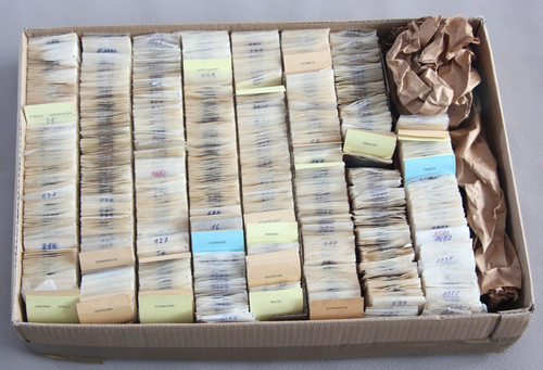 Riesen konvolut briefmarken - riesen,