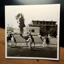 Ägypten Kamel - Kamelritt von