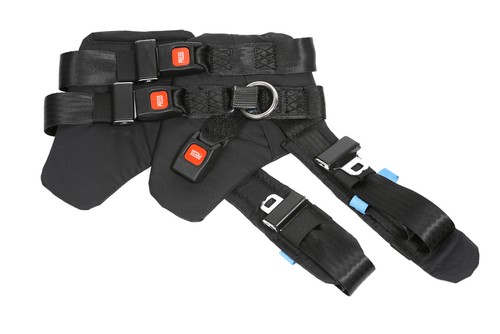 Bungee trampolin sprunggurt - trampolin,