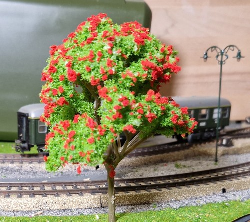 Rot blühende bäume 120 - blühende, bäume,