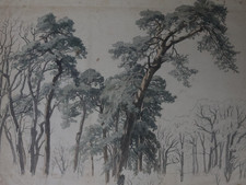 Landschaft Waldstück Studie