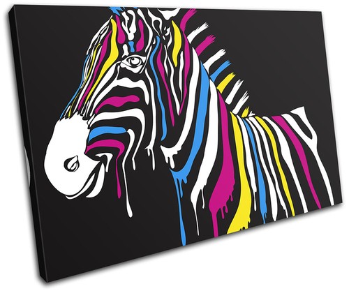 Abstract zebra rainbow paint - zebra,