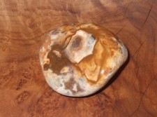 Helgoland Feuerstein kein