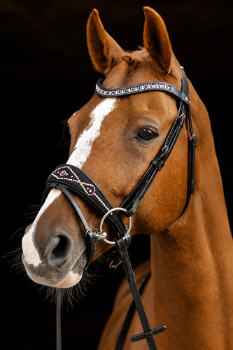 Trense pearl multi zaum - trense, genick