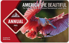 Annual Pass - America the