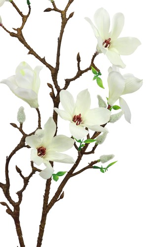 Magnolienzweig kunstblume deko - magnolienzweig,
