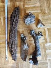 5 Stück Treibholz Schwemmholz