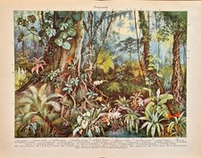 Alte Chromolithographie