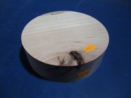 Buche verstockt rotbuche - buche,