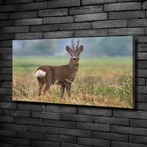 Leinwandbild kunst druck - leinwandbild, kunst-druck