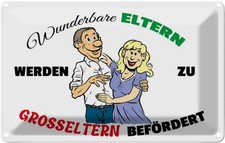 Blechschild 12x18 cm wunderbare Eltern werden Großeltern Familie Freunde Deko Ge