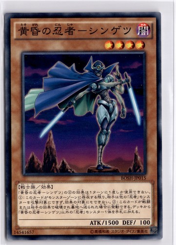 Twilight ninja shingetsu - ninja,