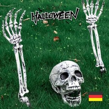 Totenkopf Schädel Skull