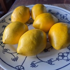 6 x Zitronen 7 cm Atrappen