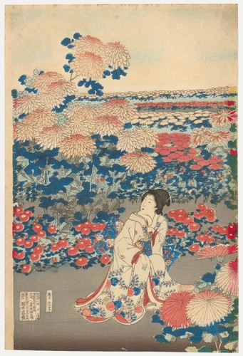 Atrib hashimoto naoyoshi - hashimoto,