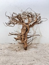 Aquariumwurzel, Etosha Tree 