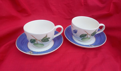 Wedgwood sarahs garden - wedgwood,