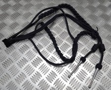 Aiguillette Offiziere