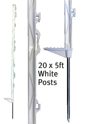 Weisse fuss polypfosten - weisse,