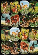 # GLANZBILDER # Krüger 98-144