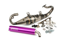 Auspuff Yasuni R-Pro Peugeot