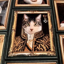 DEKO/DRUCKSTOFF HALF PANAMA  mit KATZEN 100%CO Preis pro 50 x 140 cm