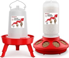 Küken Futterautomat und