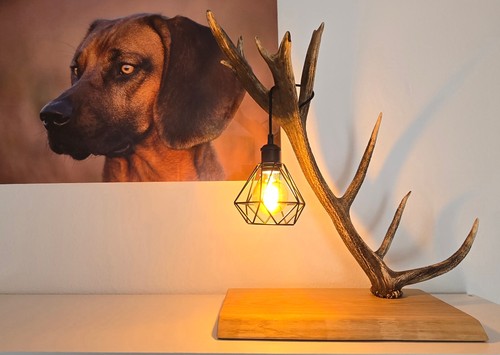 Stehlampe hirschgeweih - stehlampe,