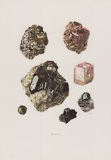 Granat Farbdruck 1967 Mineralien Gesteine C. Caspari