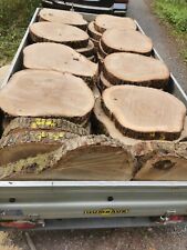 Baumscheibe XXL Eiche 50 bis 60×6 cm Holzscheibe Hochzeit Deko Tisch Platte 