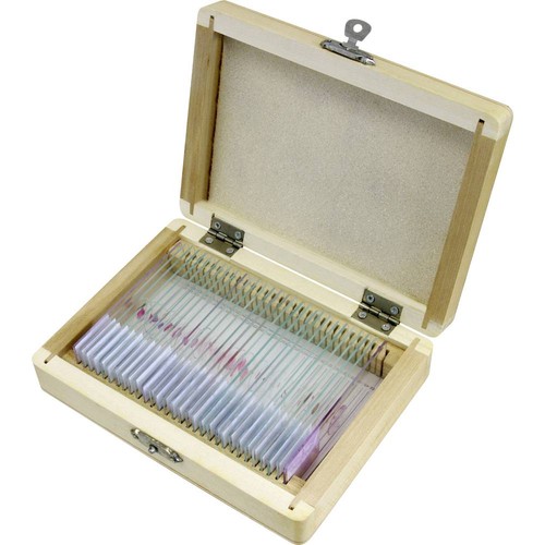 Bresser optik 5985000 - bresser,