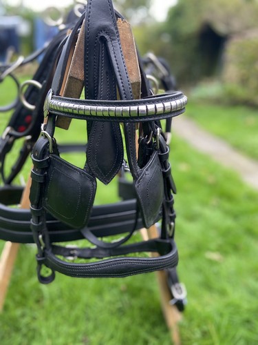 Leder fahrgeschirr - leder,