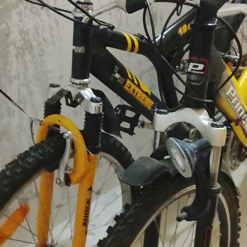 Die fahrräder sind gut - die,