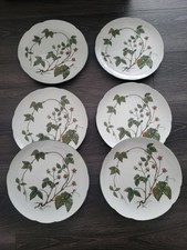 Seltmann Weiden Waldbeere 6