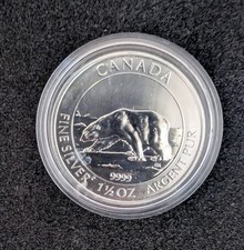 Polarbär Kanada * 2013 * 1,5