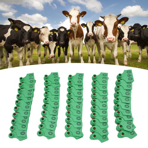 100 stück - (green)100,