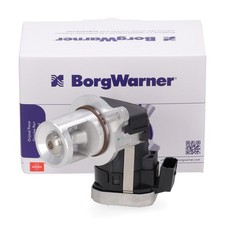 BORGWARNER AGR-Ventil für