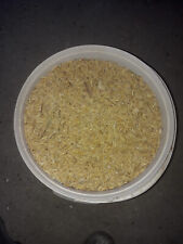 2kg Hafer ganzes Korn ab