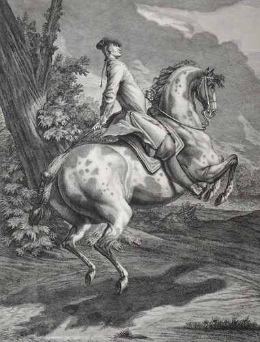 Johann elias ridinger - johann,