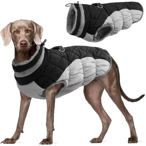 Hundemantel hundejacke winter - hundemantel,